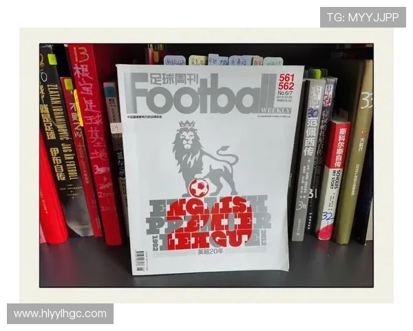 英超20年十佳球